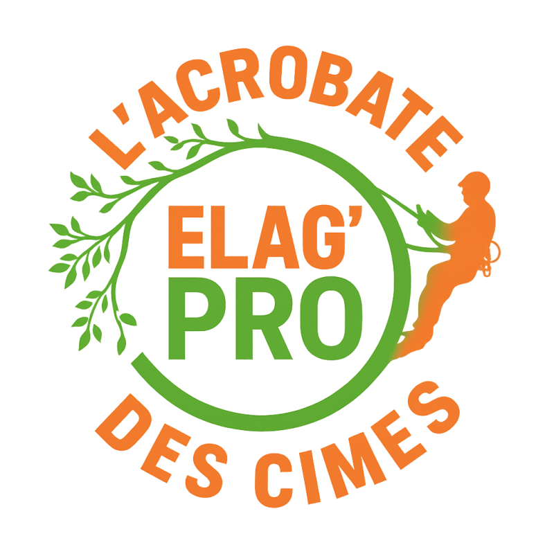 Acrobate Des Cimes 