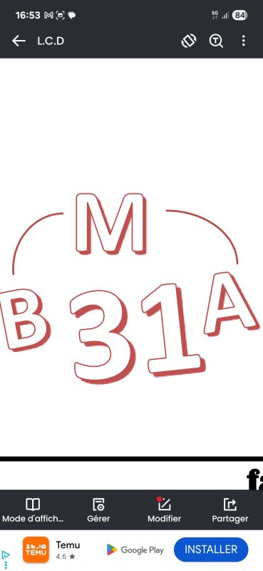 BMA 31