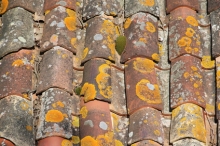 Démoussage de toiture